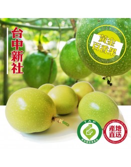 新社黃金百香果 5台斤