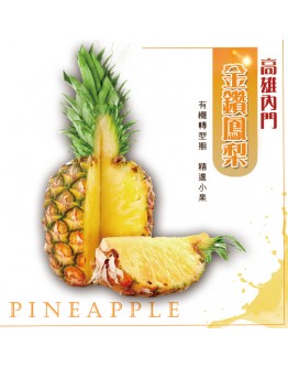 內門金鑽鳳梨  21台斤