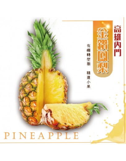 內門金鑽鳳梨 7台斤