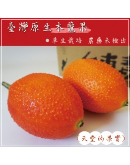 無毒原生木虌果 10台斤