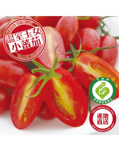 特級玉女小番茄 20台斤