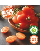 特級橙蜜香小番茄 4台斤