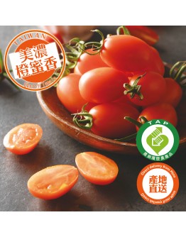 特級橙蜜香小番茄 8台斤