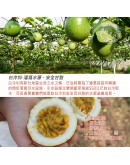 新社黃金百香果 10台斤