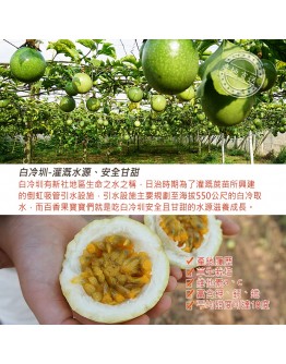 新社黃金百香果 5台斤