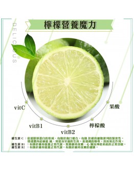 美濃 無子檸檬  5台斤