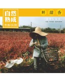 內門金鑽鳳梨 7台斤