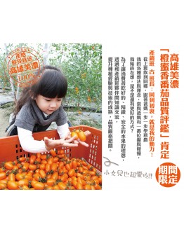 特級橙蜜香小番茄 8台斤