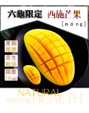 六龜西施芒果 7台斤