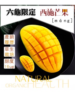 六龜西施芒果 14台斤
