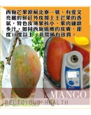 六龜西施芒果 7台斤