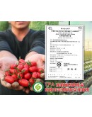 特級玉女小番茄 20台斤