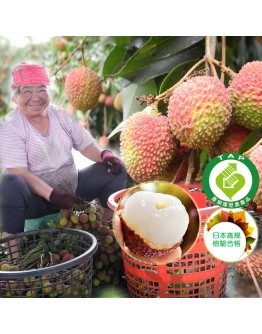 大樹頂級玉荷包 5台斤