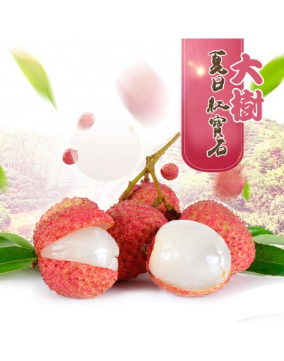 大樹頂級玉荷包 5台斤