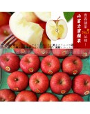 青森富士蜜蘋果 10kg (32顆)